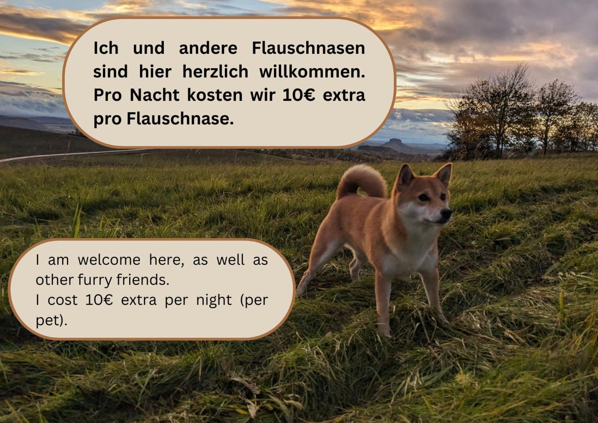 Apartment S2 - Urlaubsmagie - Am Wanderweg Mit Terrasse Sebnitz